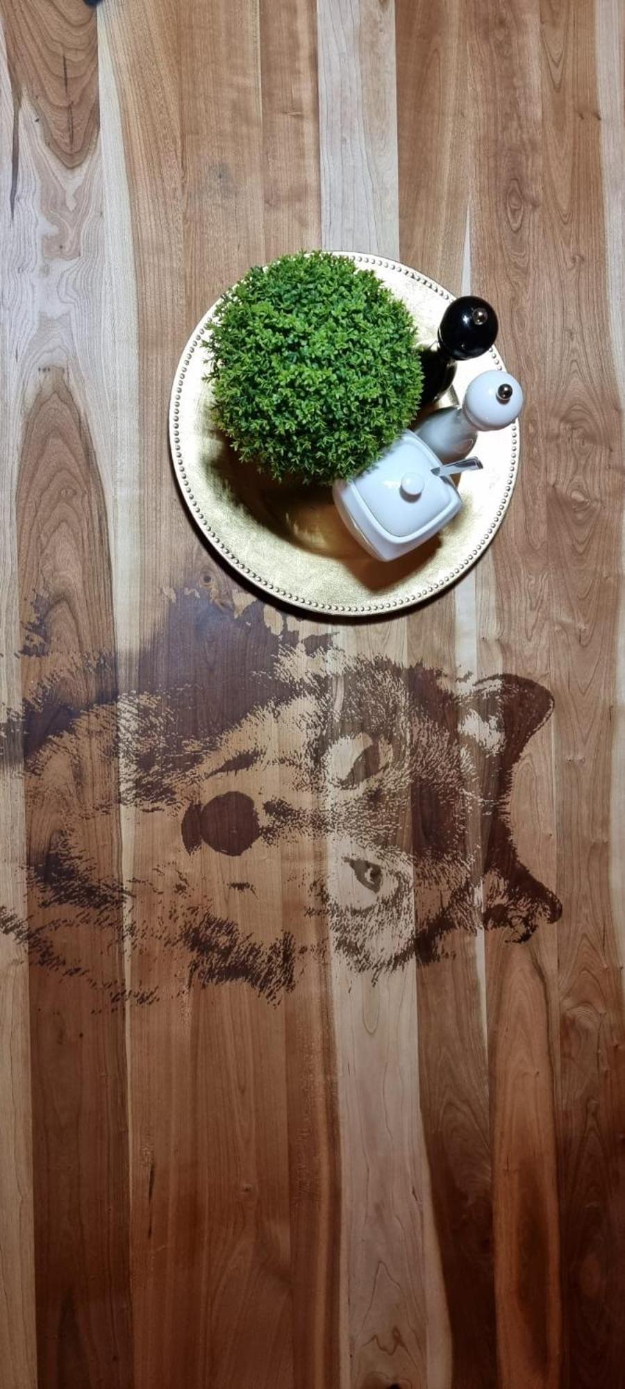 Farm stay Mysliwska Stas I Nel Bystrzyca Klodzka